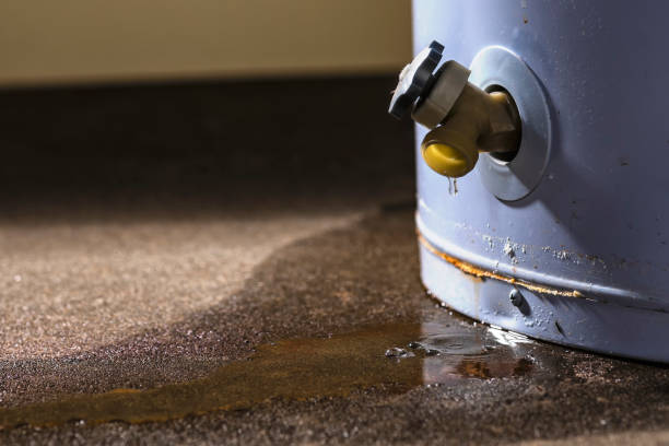 Best Local water damage restoration  in Lafayette, TN