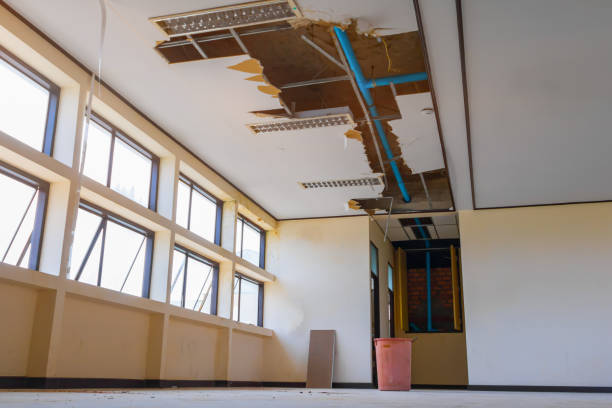 Reliable TN Water damage restoration Solutions
