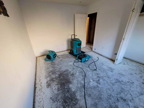 Best Flooded house restoration  in Lafayette, TN