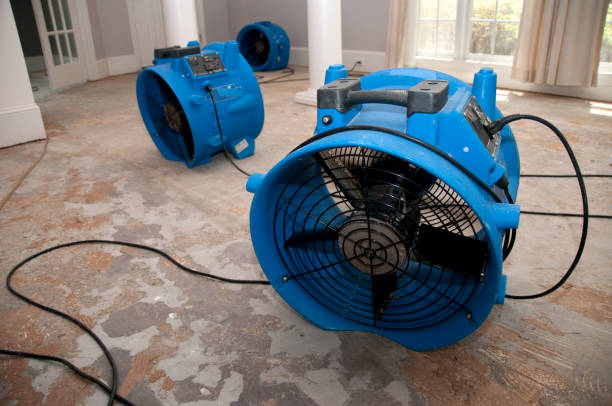Best Carpet water damage restoration  in Lafayette, TN