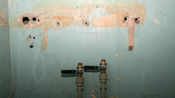 Best Flood restoration services  in Lafayette, TN