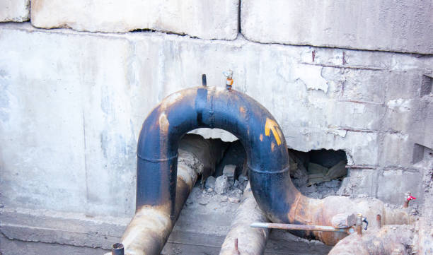 Best Flood damage cleanup  in Lafayette, TN